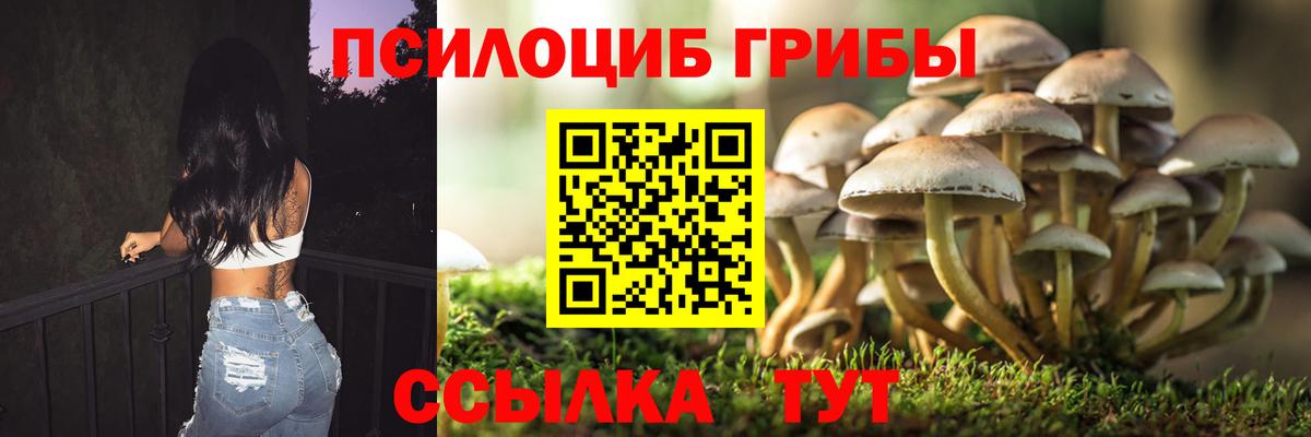 Псилоцибиновые грибы Cubensis  Вход с VPN  Таганрог 